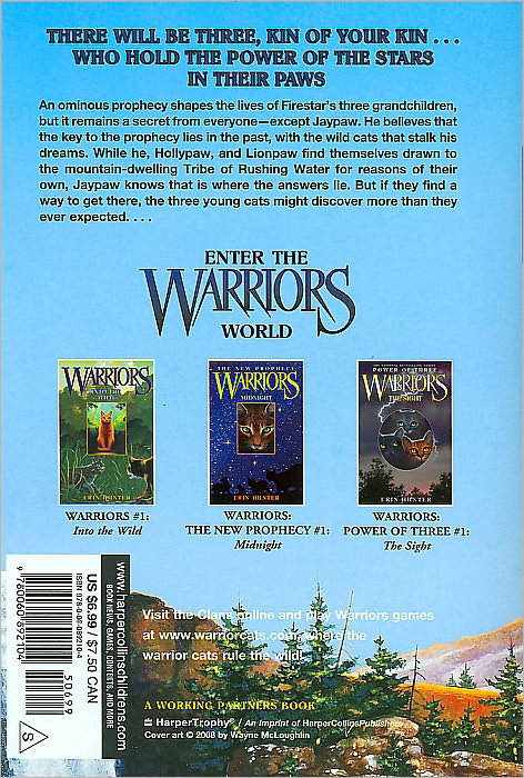 Outcast (Warriors: Power of Three Series #3)