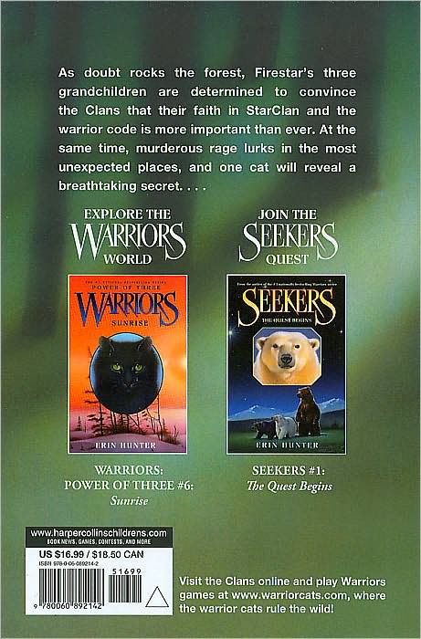 Long Shadows (Warriors: Power of Three Series #5)