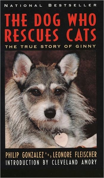 Dog Who Rescues Cats: The True Story of Ginny