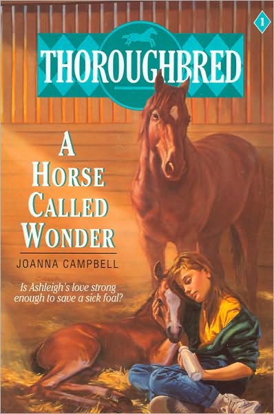 Horse Called Wonder (Thoroughbred Series #1)