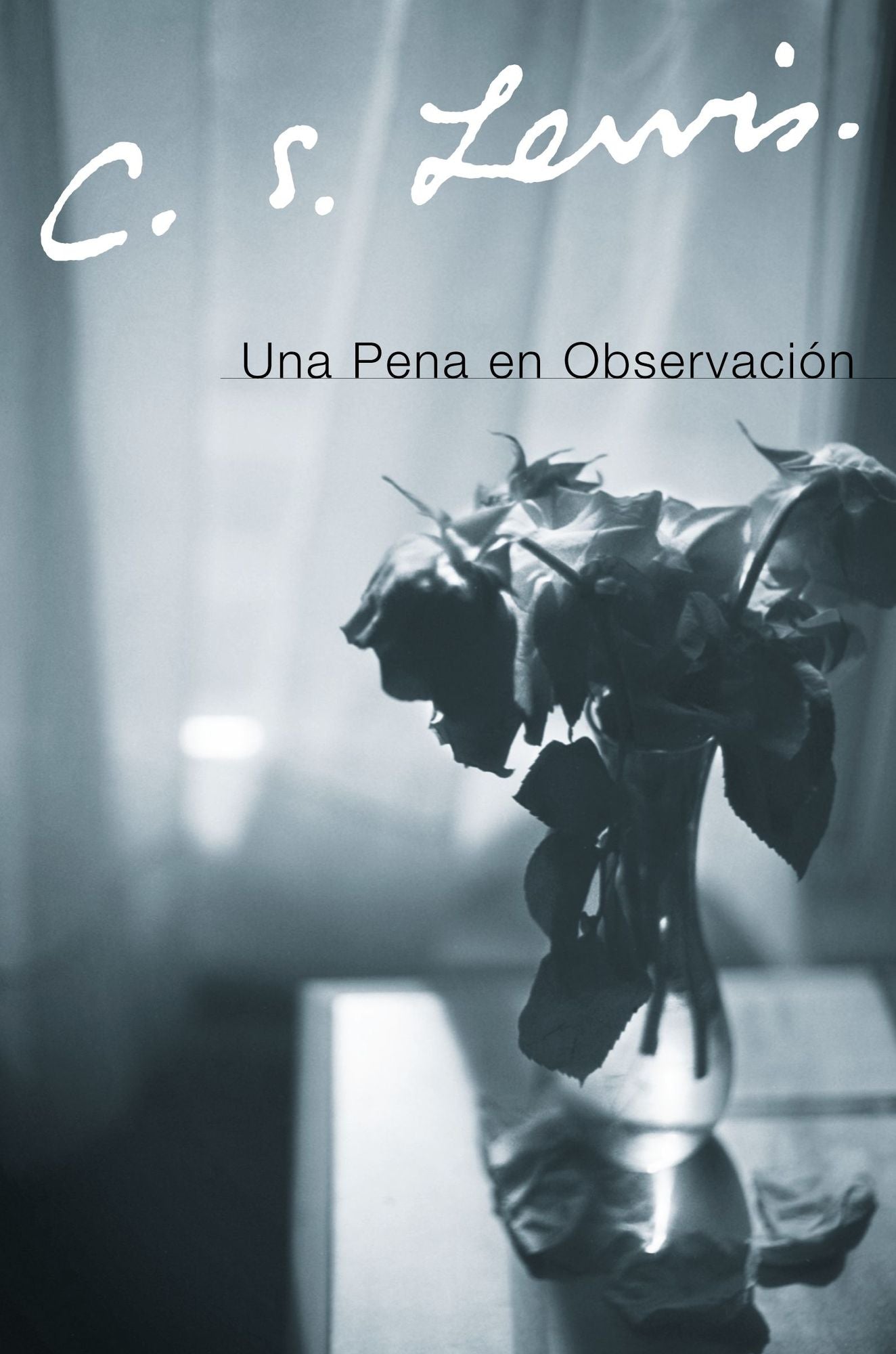 Una pena en observacion (A Grief Observed)