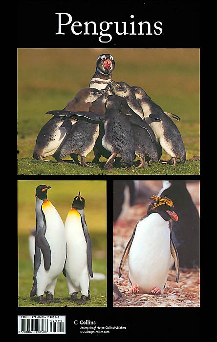 Penguins