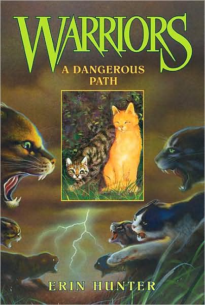 A Dangerous Path (Warriors Series #5)