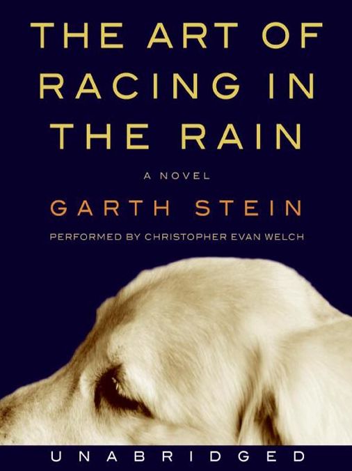 The Art of Racing in the Rain