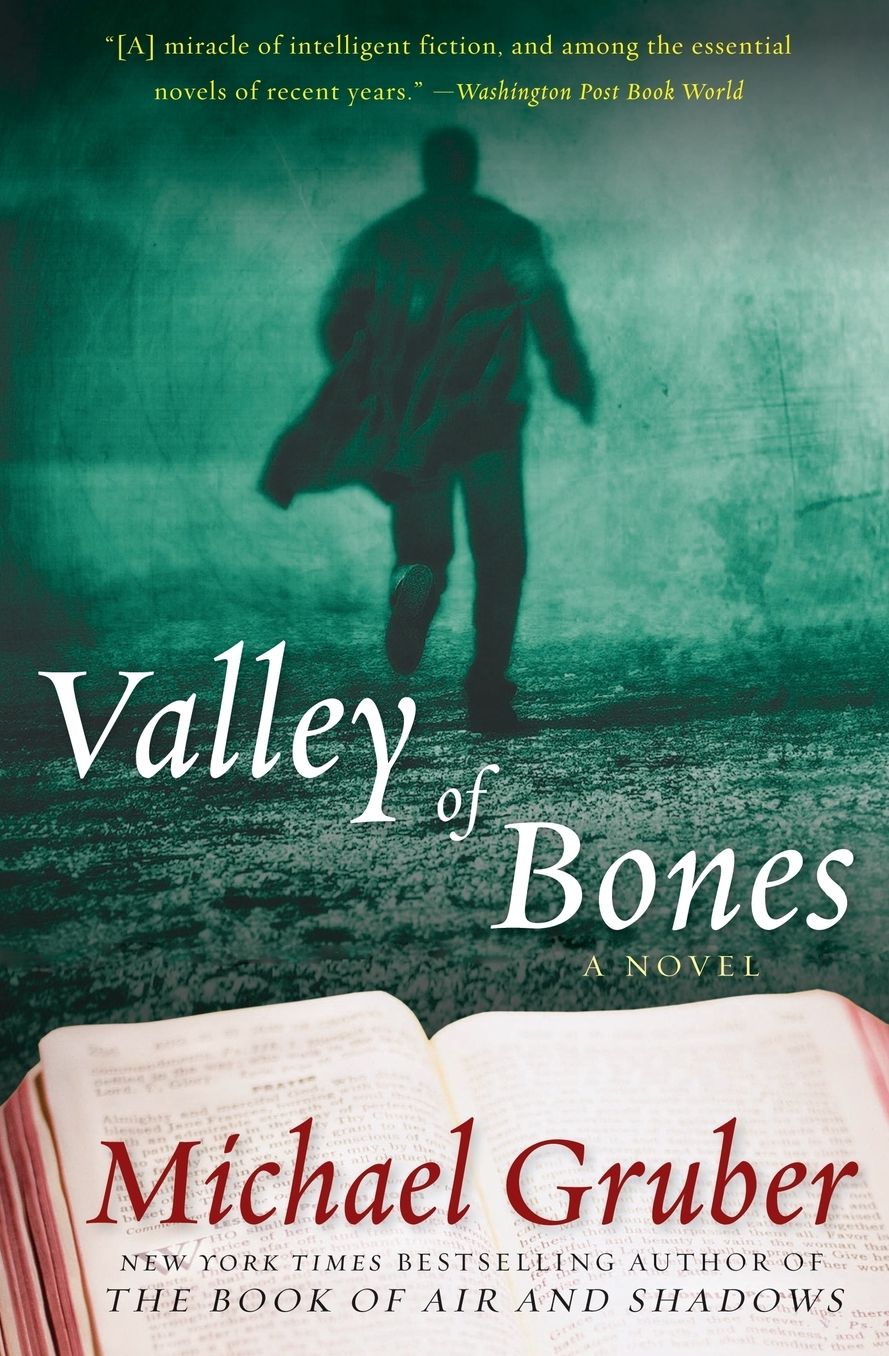 Valley of Bones: A Novel
