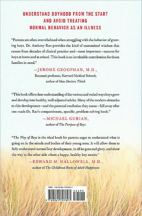 The Way of Boys: Raising Healthy Boys in a Challenging and Complex World