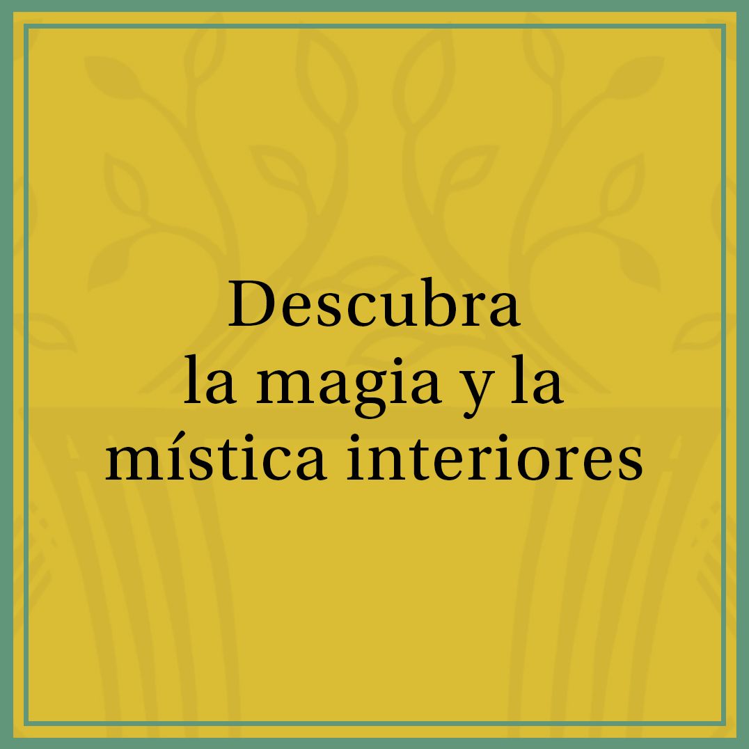 Brida (en español)