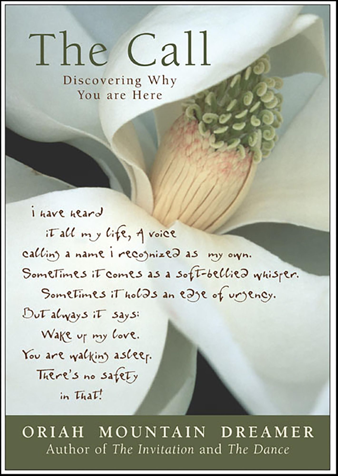 The Call: Discovering Why You Are Here