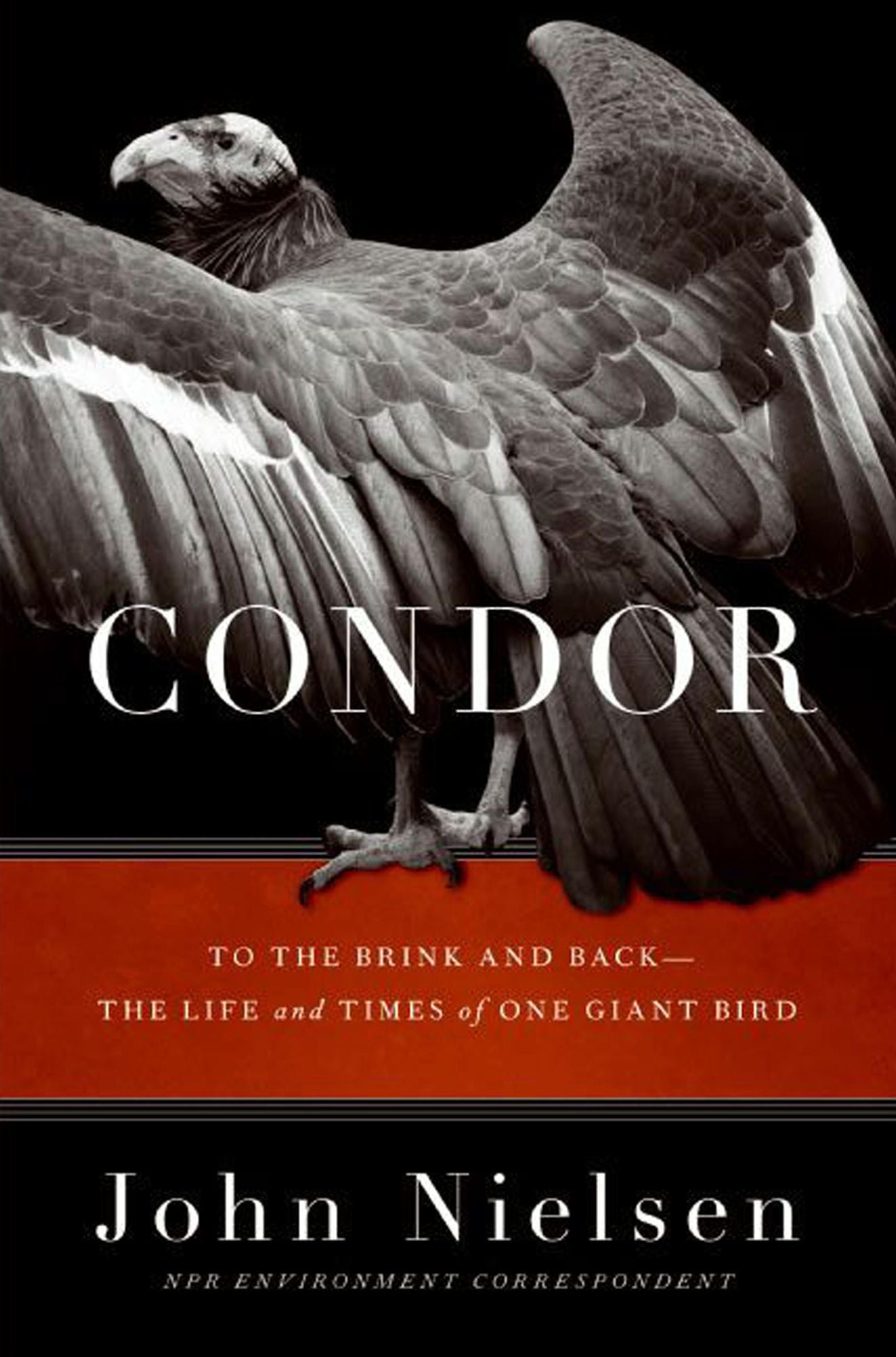 Condor: To the Brink and Back--the Life and Times of One Giant Bird