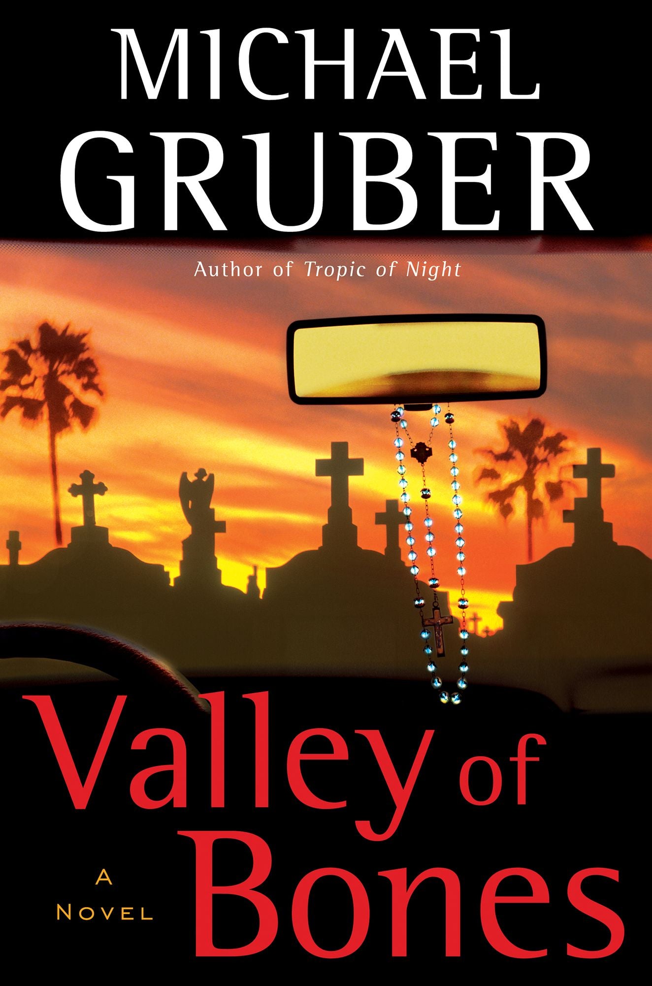 Valley of Bones: A Novel