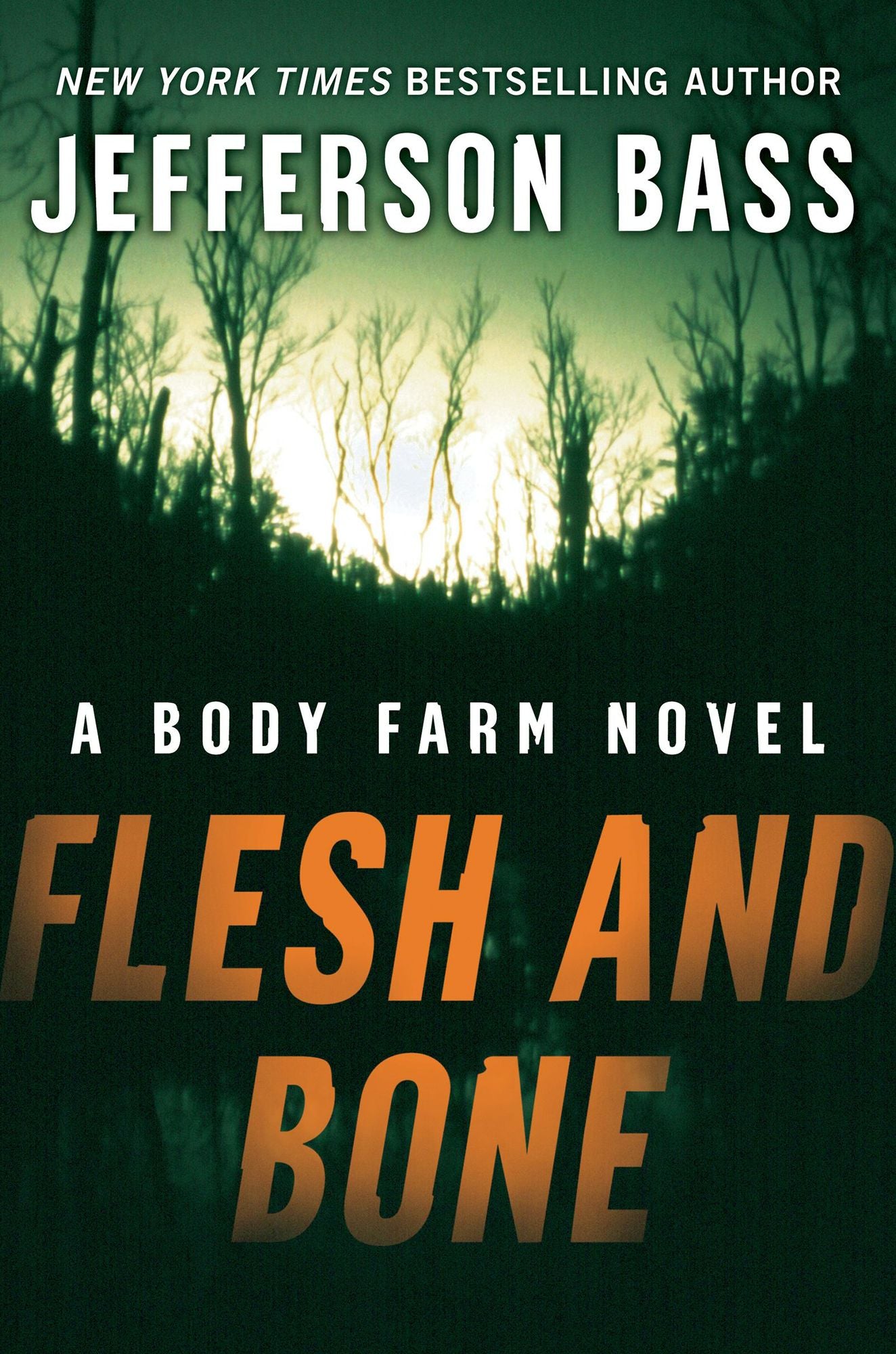 Flesh and Bone (Body Farm Series #2)