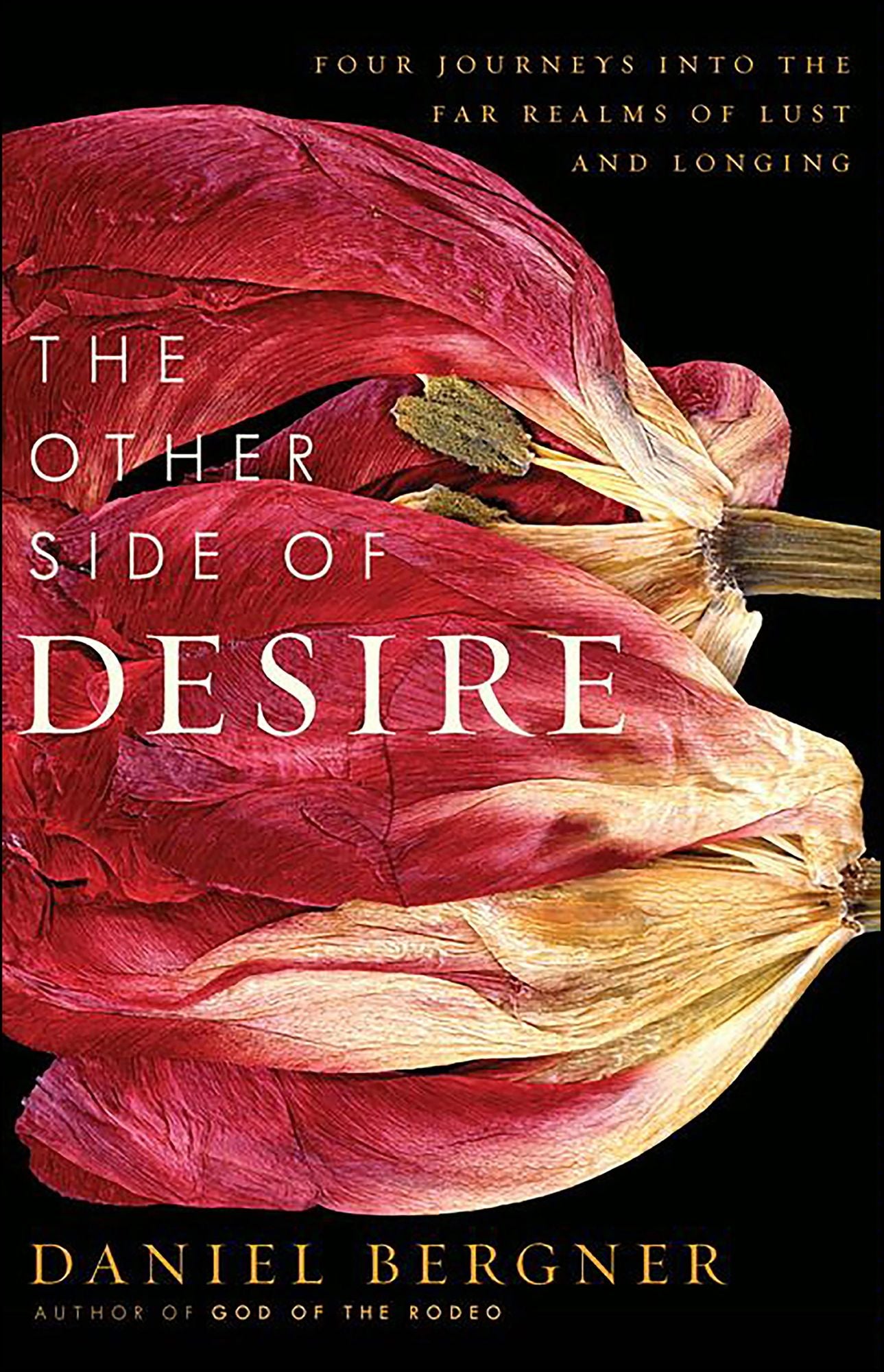 The Other Side of Desire: Four Journeys into the Far Realms of Lust and Longing