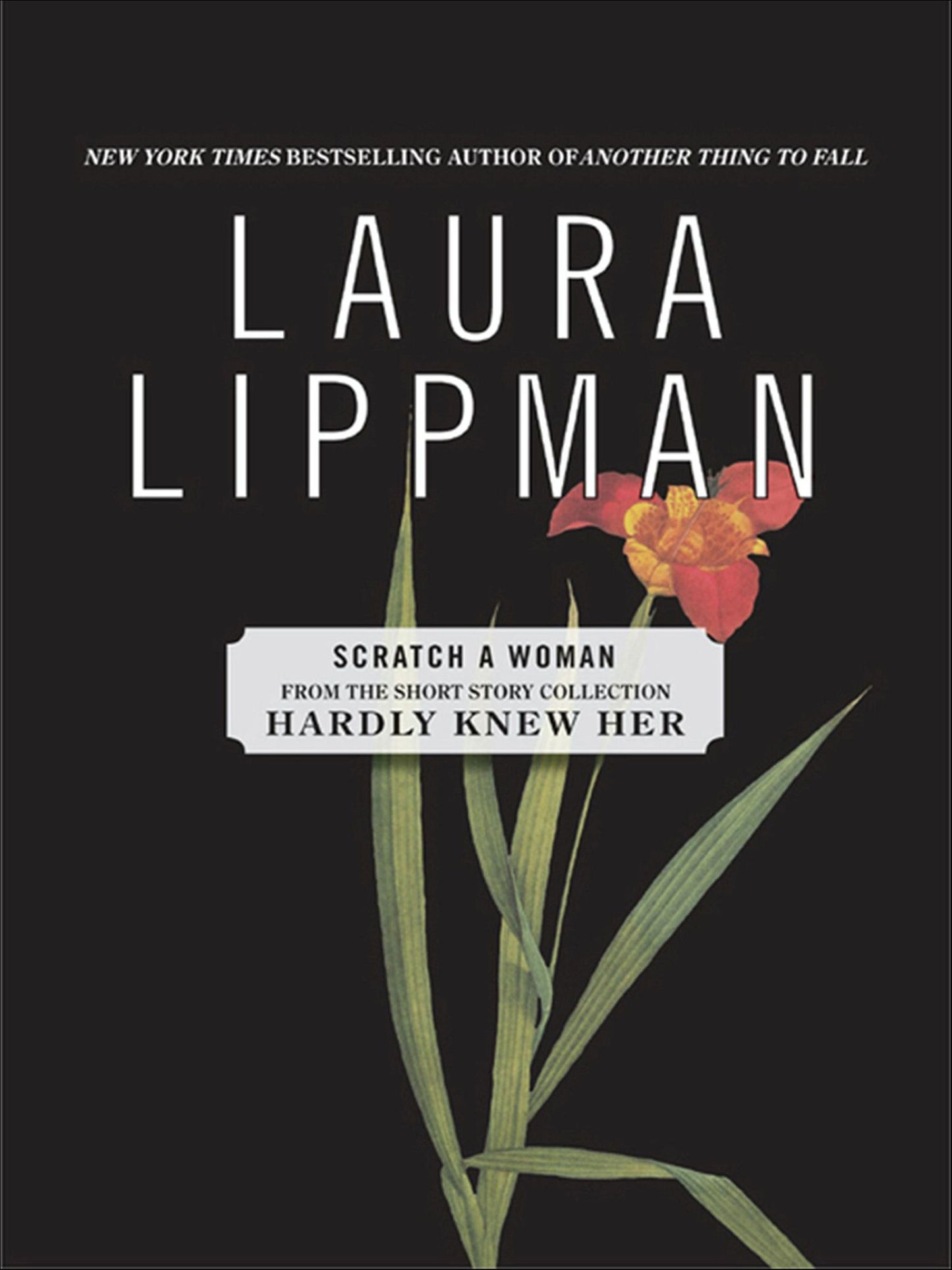 Scratch a Woman (From the Short Story Collection, Hardly Knew Her)