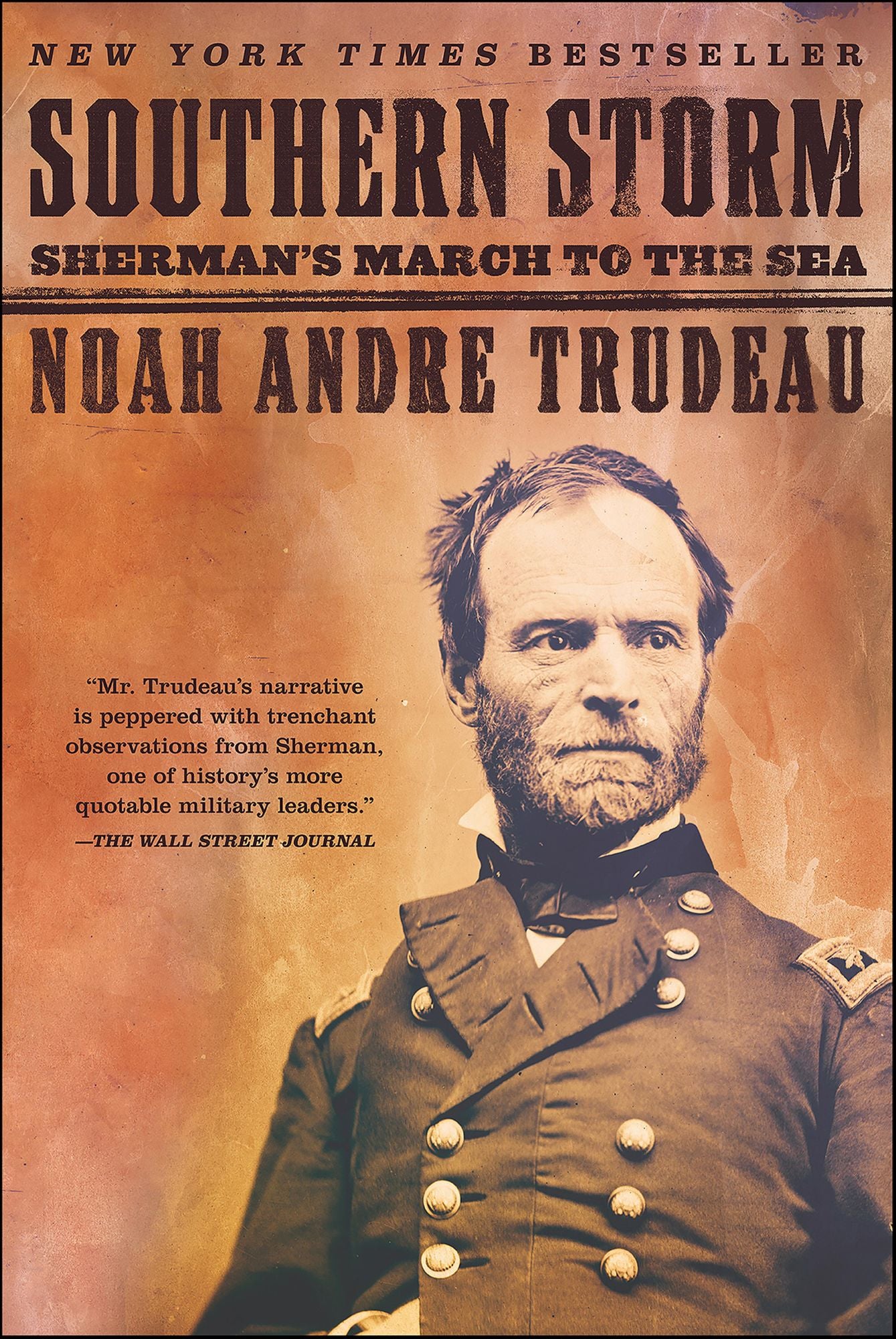 Southern Storm: Sherman's March to the Sea
