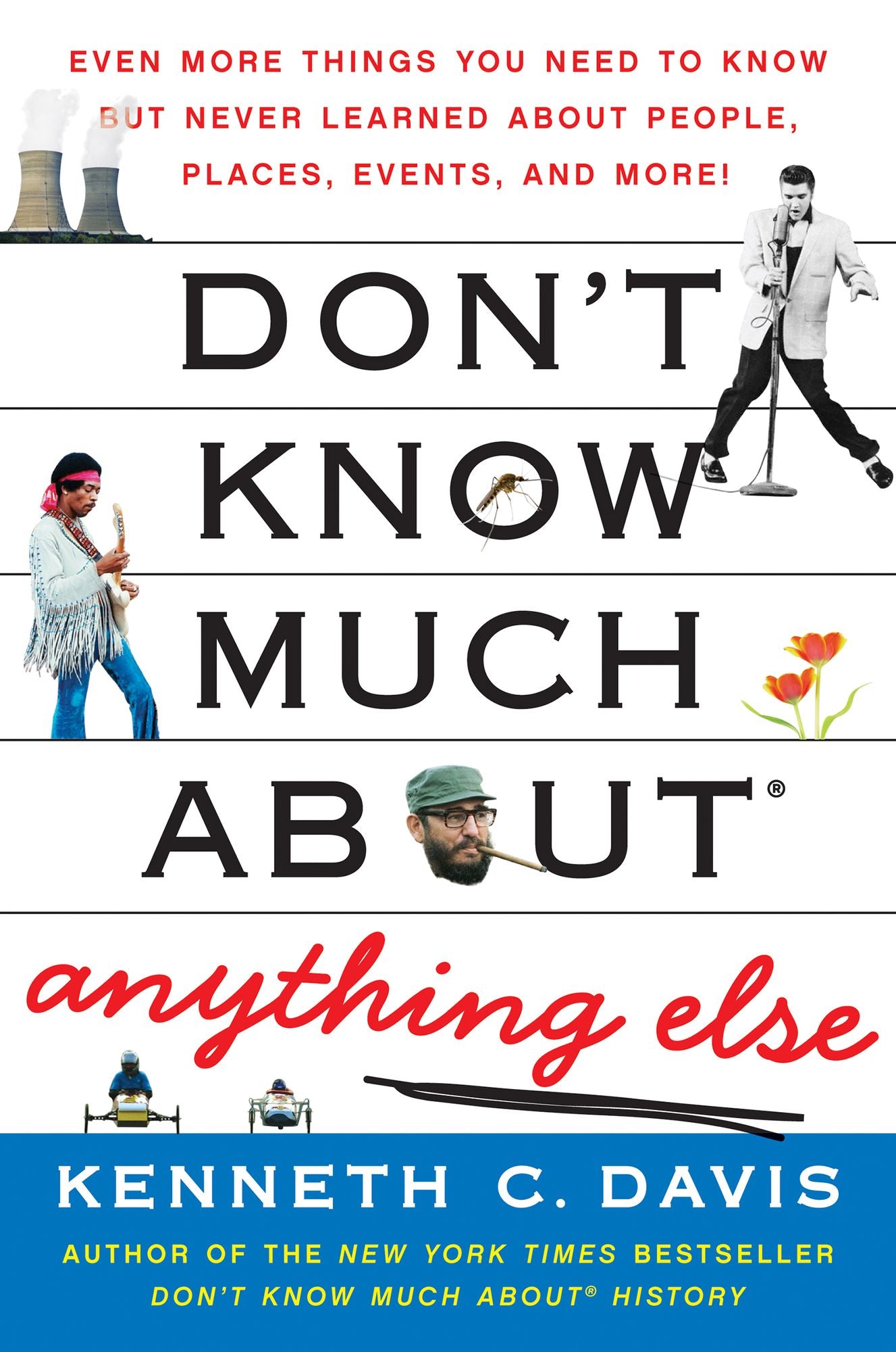 Don't Know Much About Anything Else: Even More Things You Need to Know but Never Learned About People, Places, Events, and More!