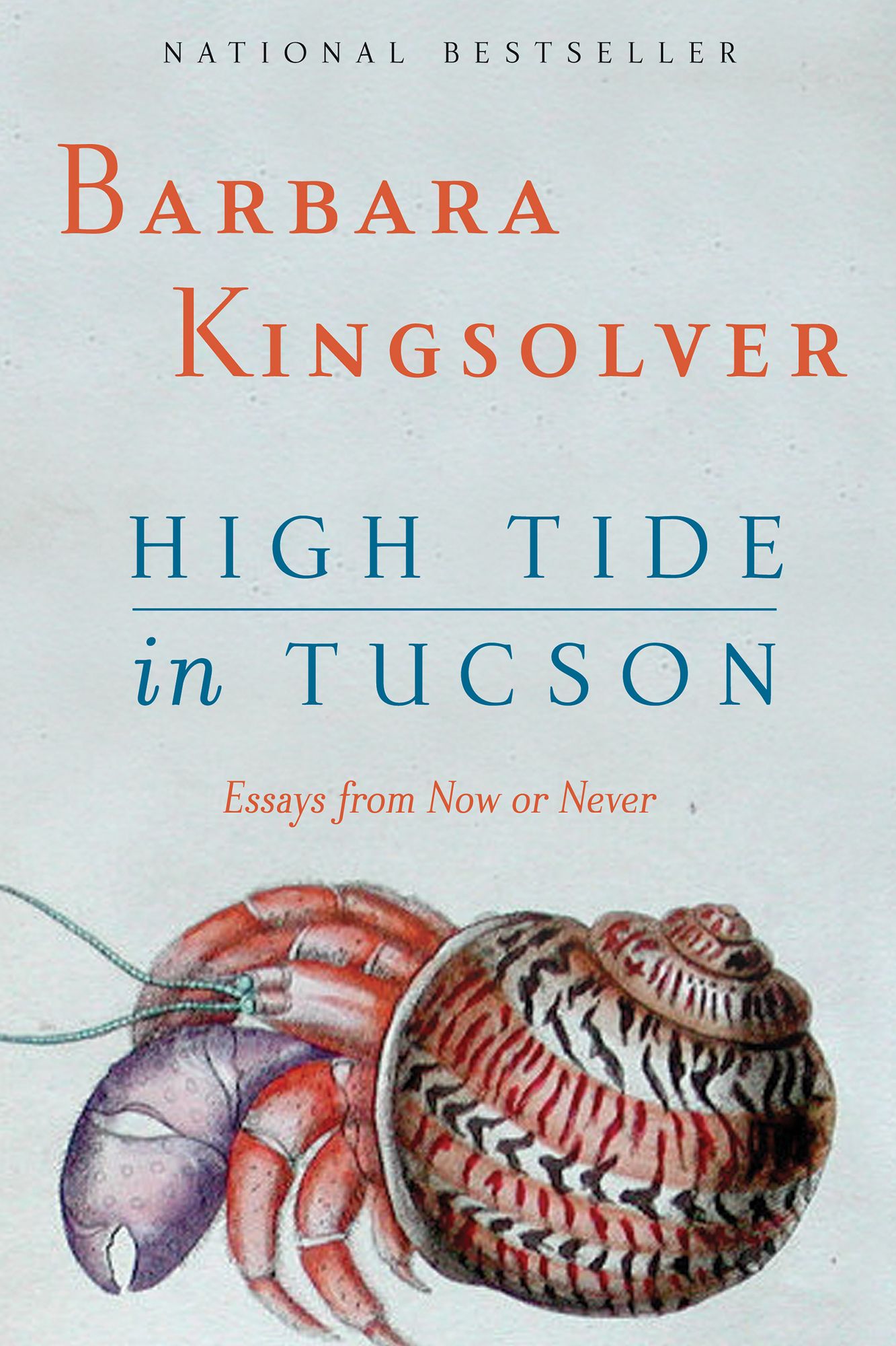 High Tide in Tucson: Essays from Now or Never