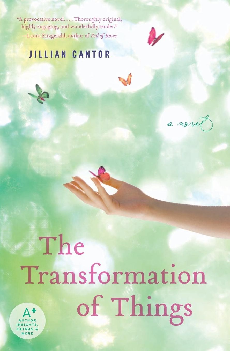 The Transformation of Things: A Novel