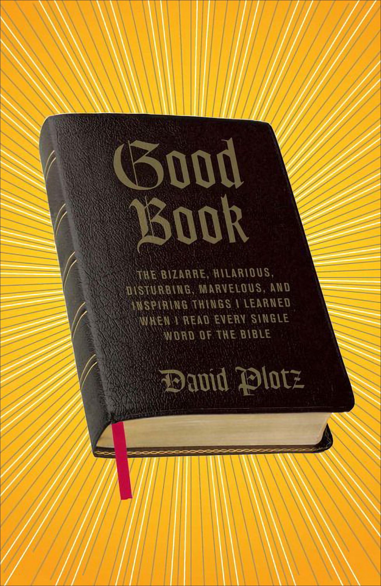 Good Book: The Bizarre, Hilarious, Disturbing, Marvelous, and Inspiring Things I Learned When I Read Every Single Word of the Bible