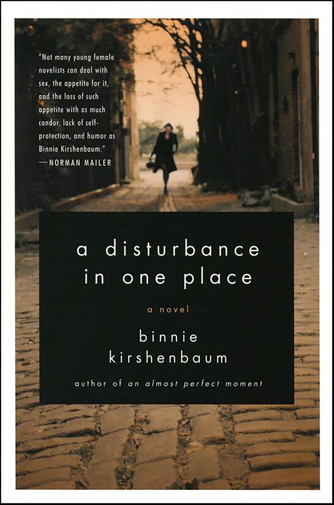 A Disturbance in One Place: A Novel