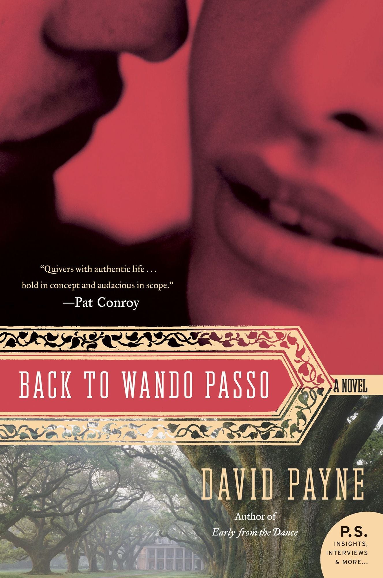 Back to Wando Passo: A Novel