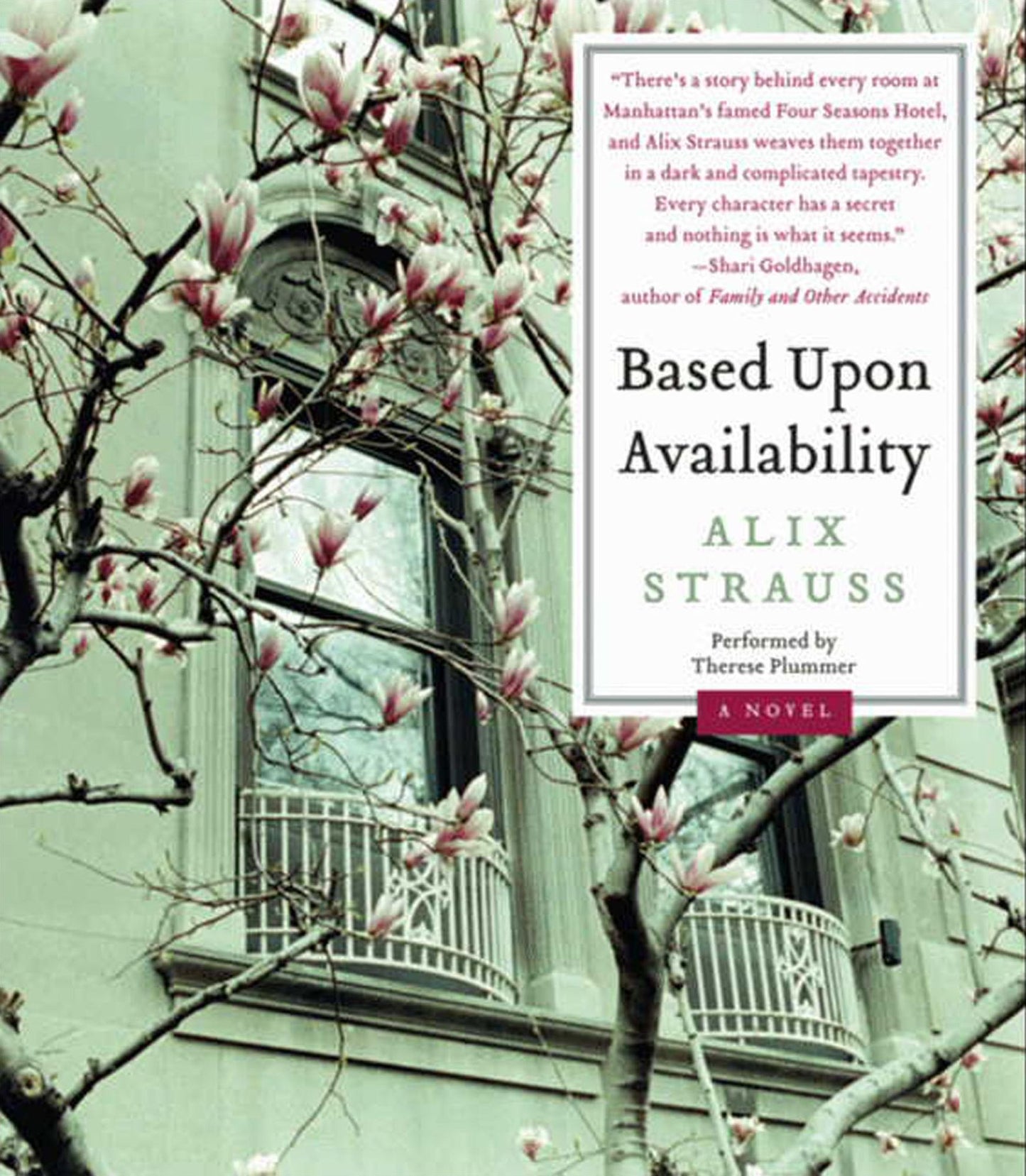 Based Upon Availability: A Novel