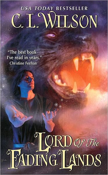 Lord of the Fading Lands (Tairen Soul Series #1)