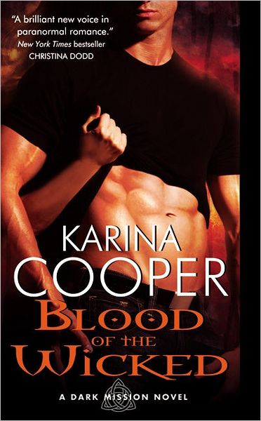 Blood of the Wicked (Dark Mission Series)