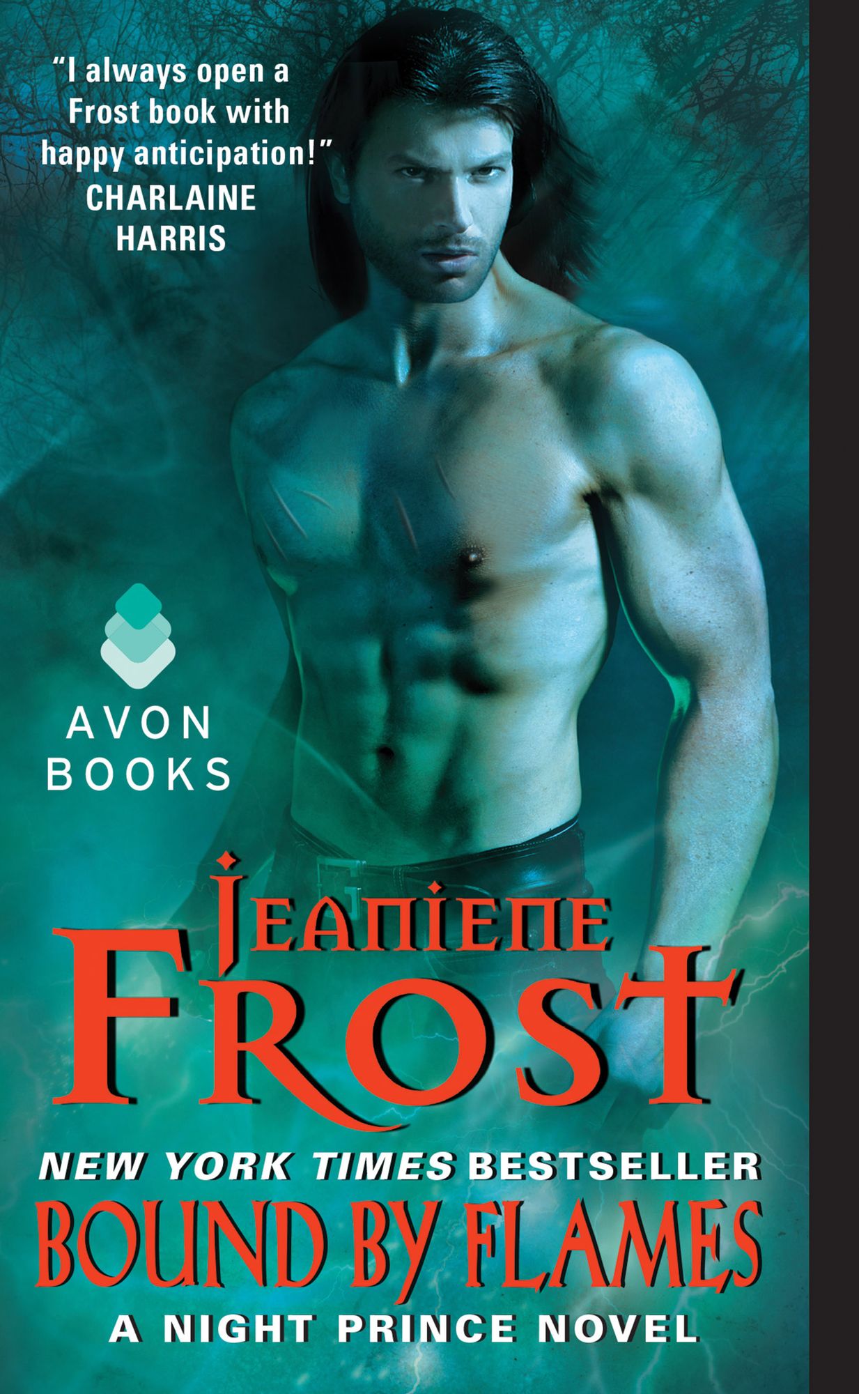 Bound by Flames (Night Prince Series #3)