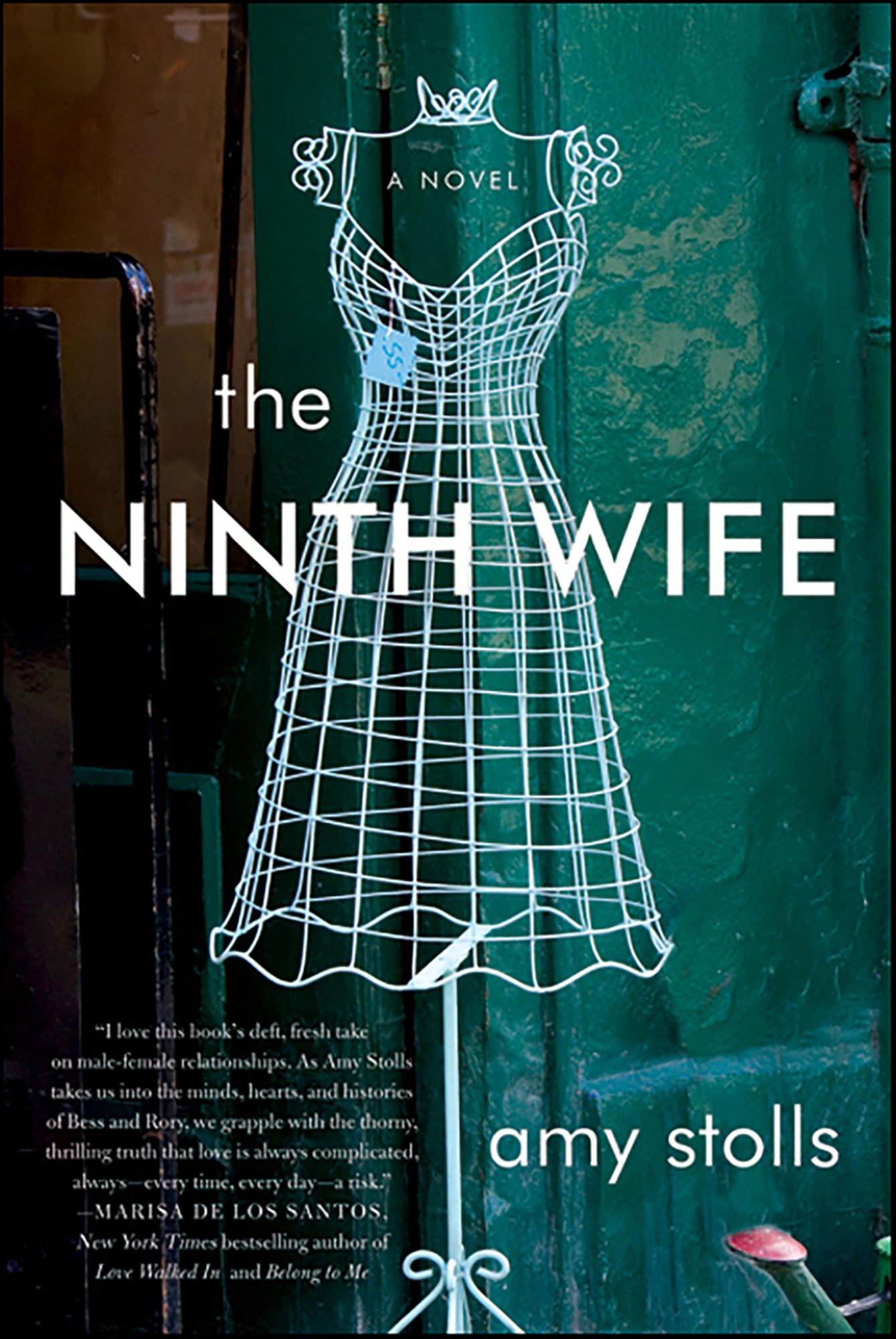 The Ninth Wife