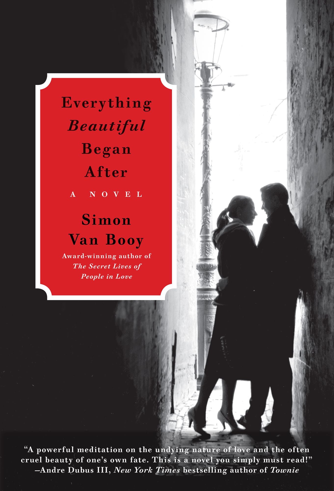 Everything Beautiful Began After: A Novel