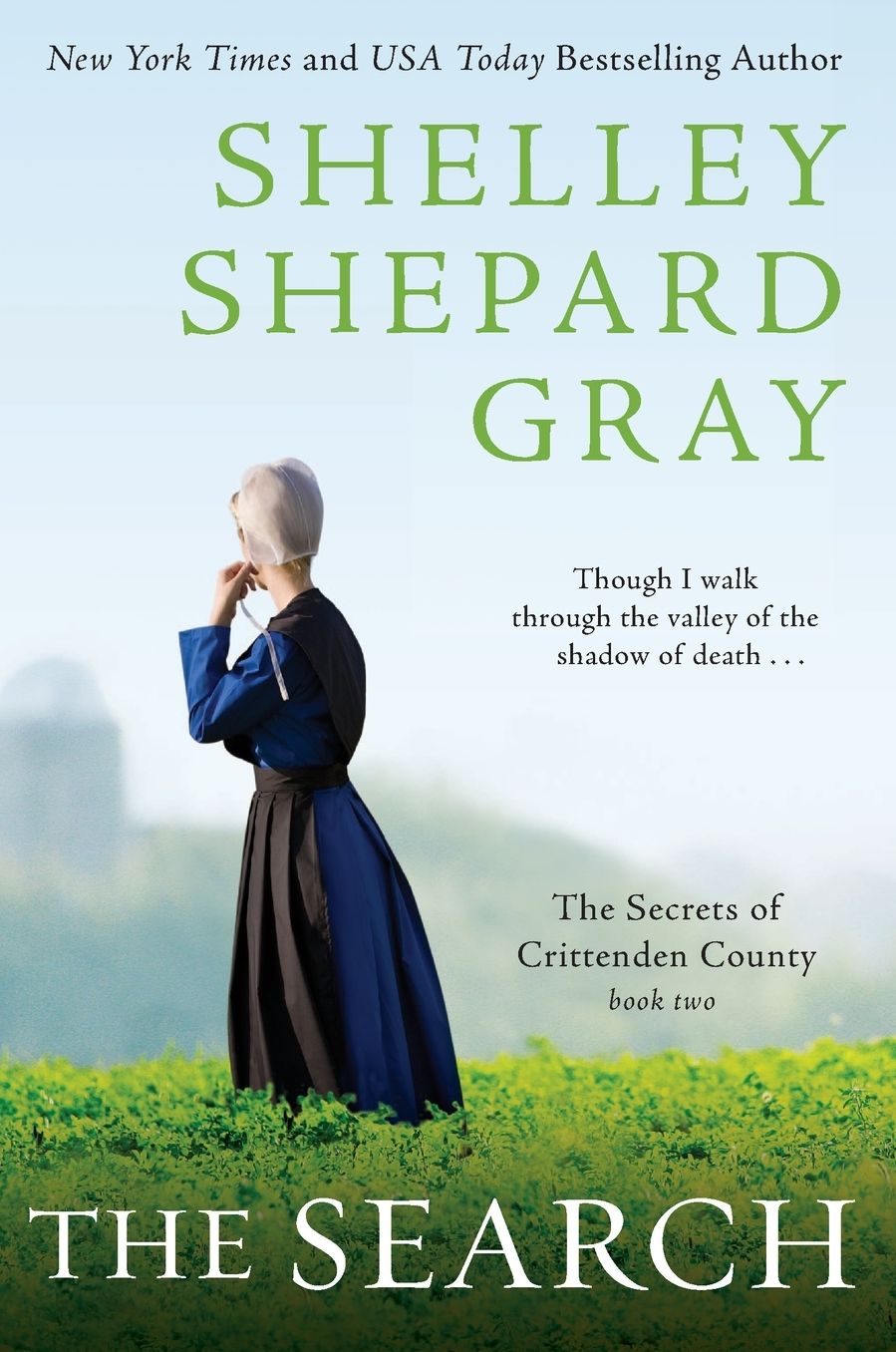 The Search (Secrets of Crittenden County Series #2)