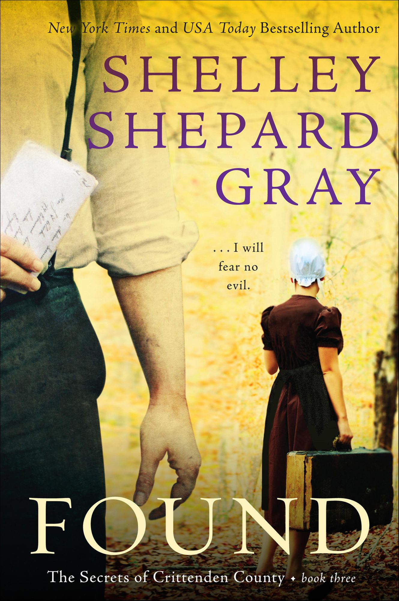 Found (Secrets of Crittenden County Series #3)