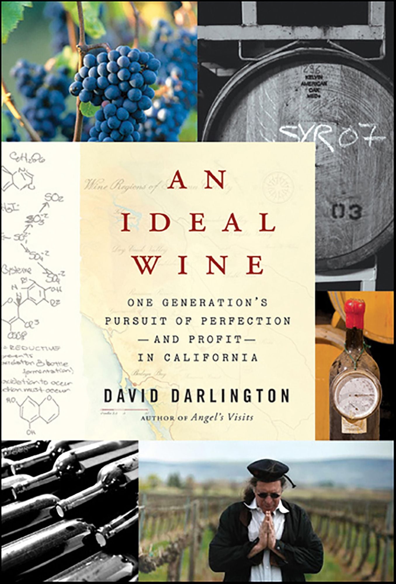 An Ideal Wine: One Generation's Pursuit of Perfection-and Profit-in California