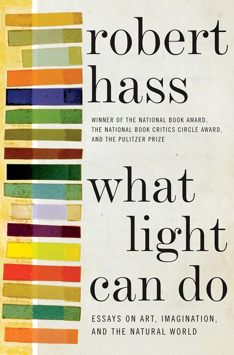 What Light Can Do: Essays on Art, Imagination, and the Natural World