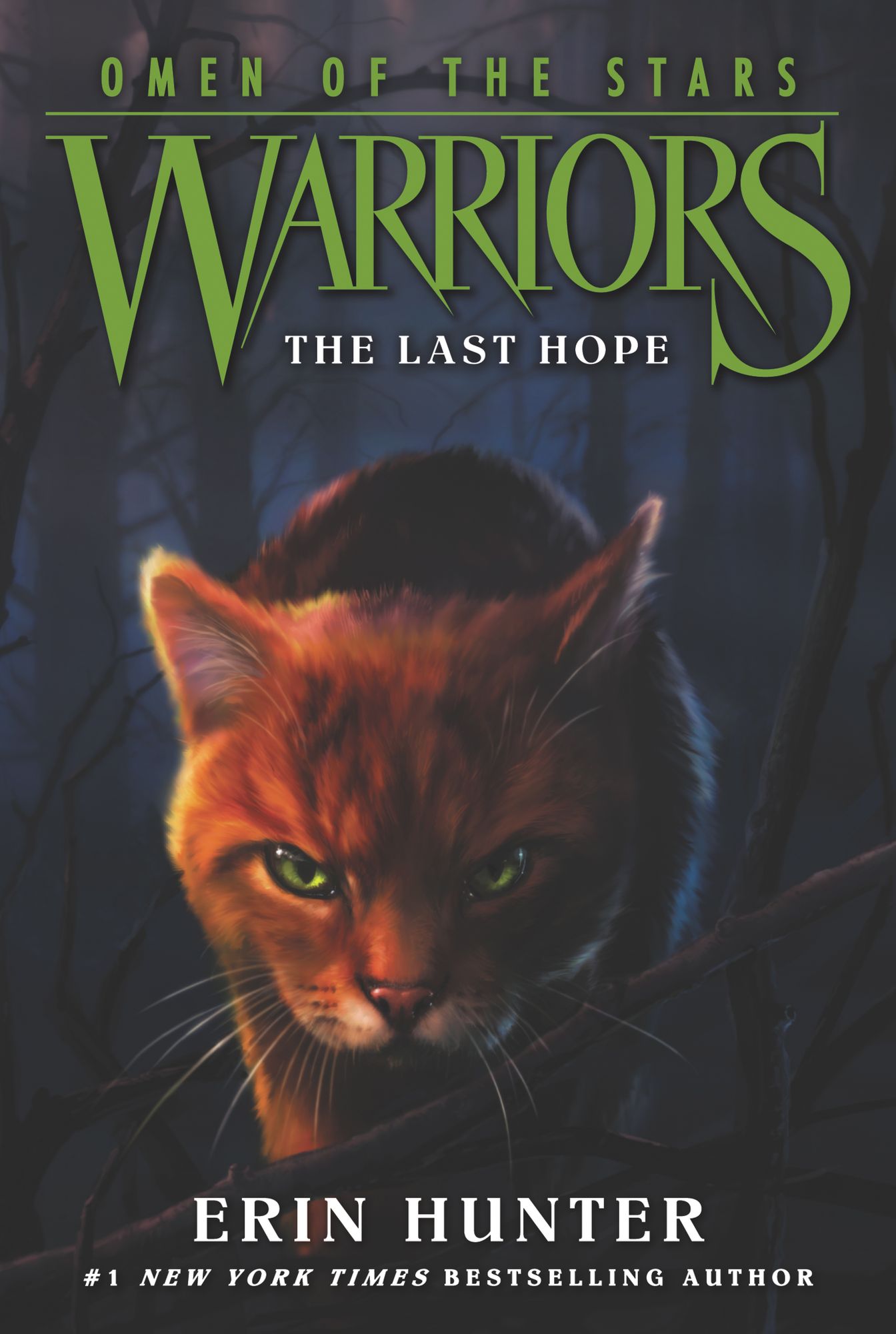 The Last Hope (Warriors: Omen of the Stars Series #6)