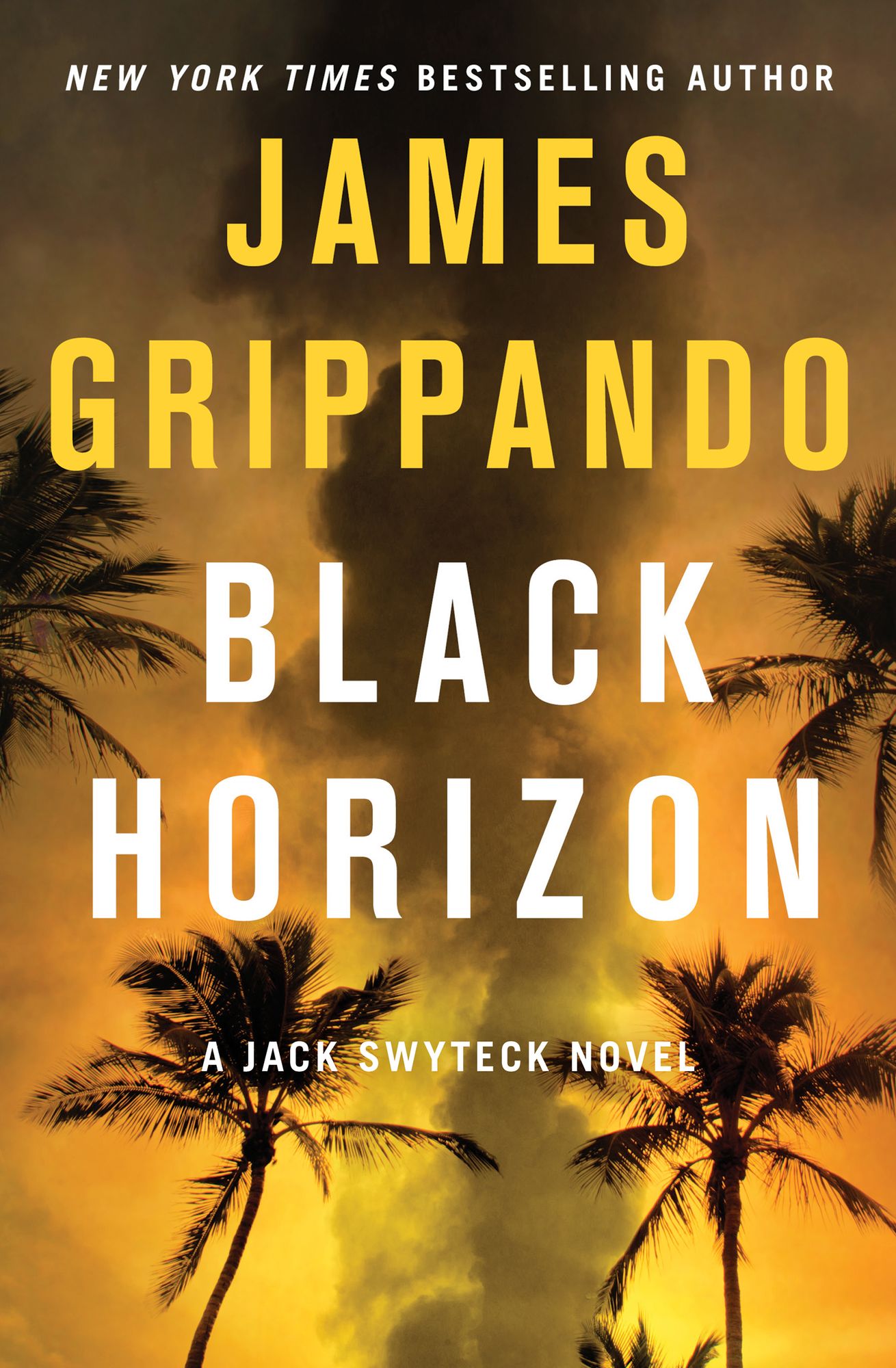 Black Horizon (Jack Swyteck Series #11)