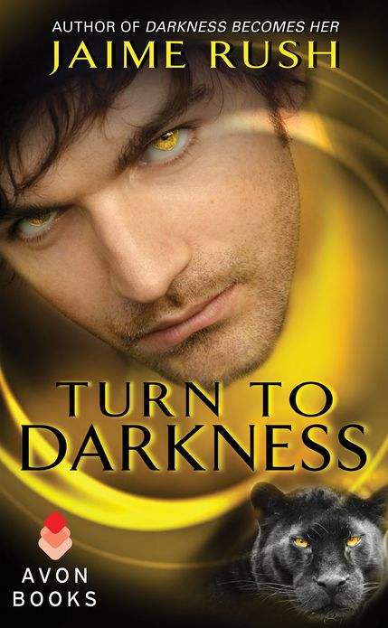 Turn to Darkness: A Novella