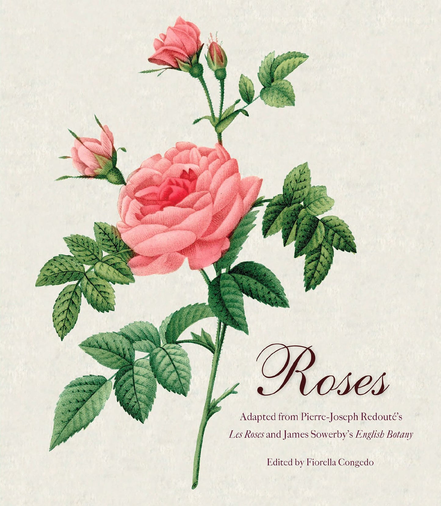Roses: Mini Archive