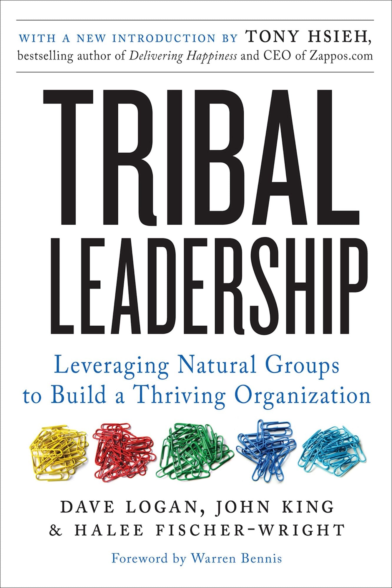 Tribal Leadership Revised Edition: Leveraging Natural Groups to Build a Thriving Organization