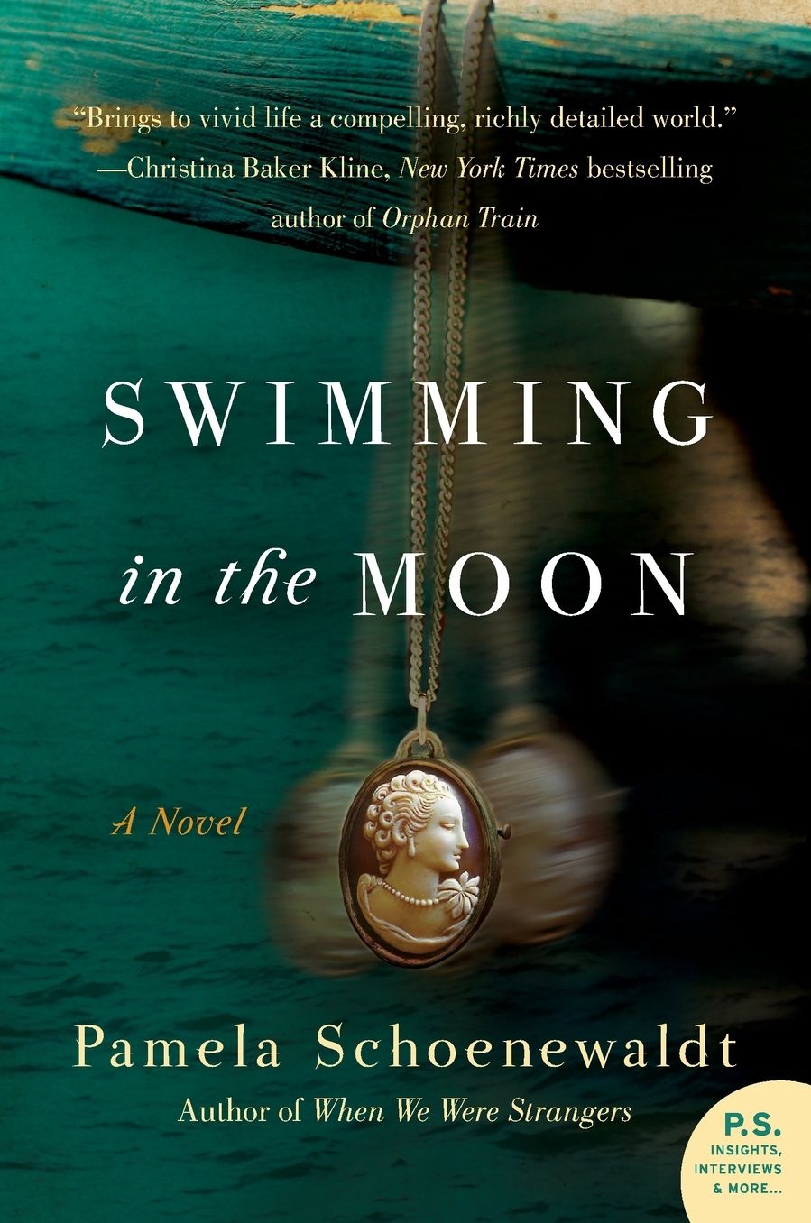 Swimming in the Moon: A Novel