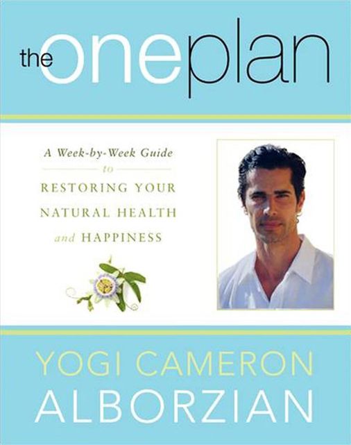 The One Plan: A Week-by-Week Guide to Restoring Your Natural Health and Happiness