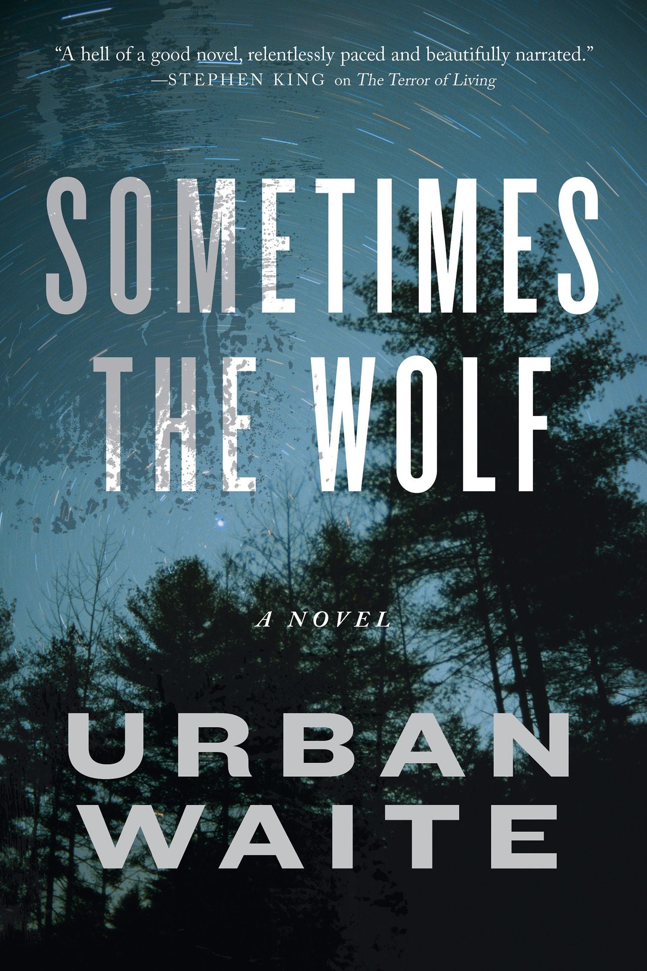 Sometimes the Wolf: A Novel