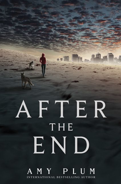 After the End (After the End Series #1)