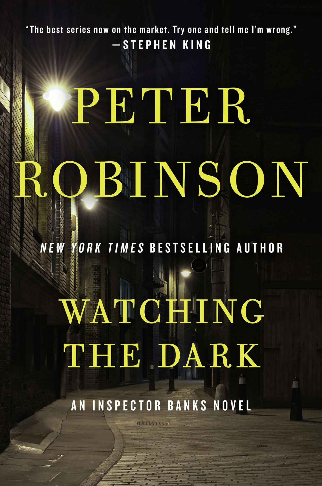 Watching the Dark (Inspector Alan Banks Series #20)