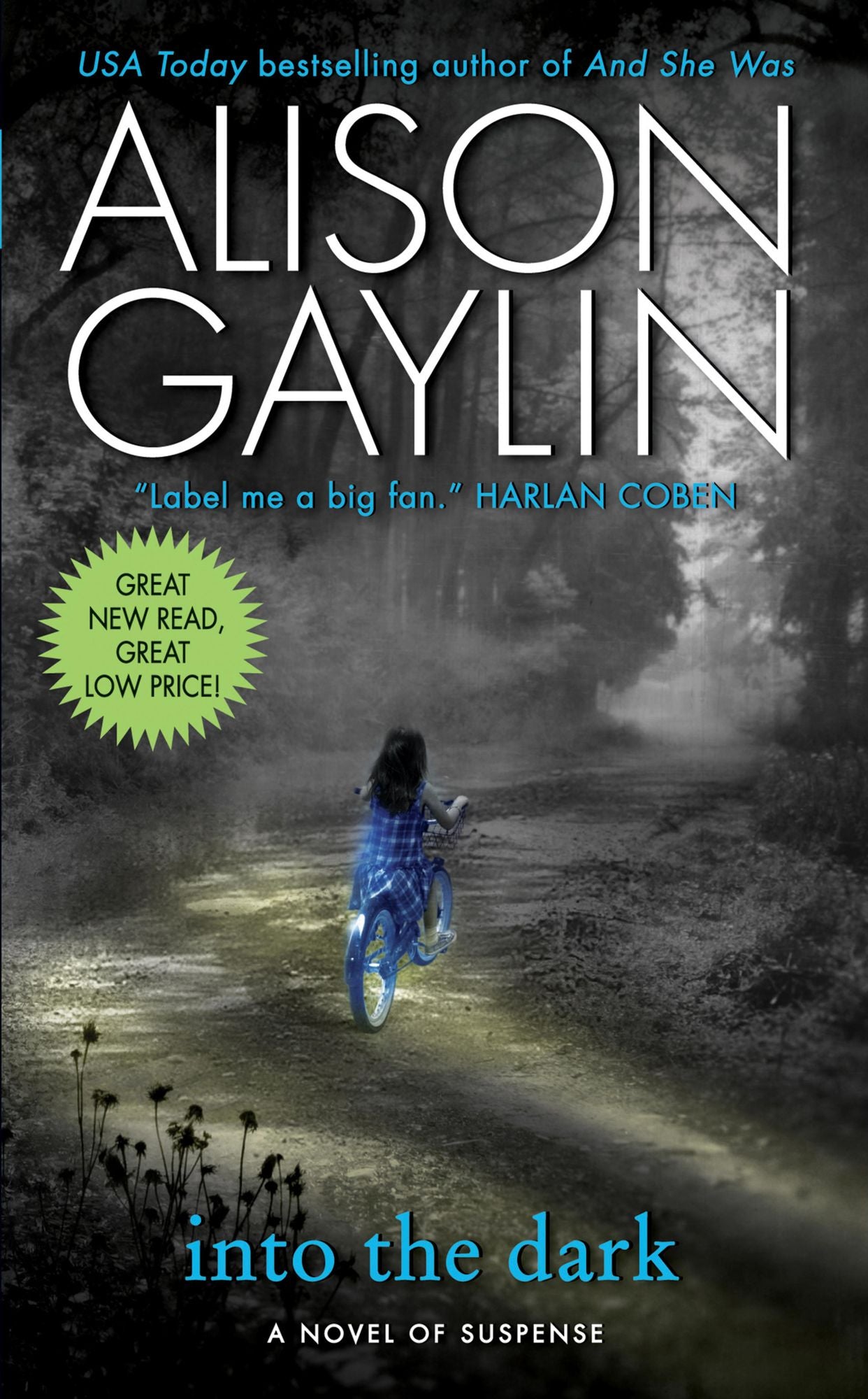 Into the Dark (Brenna Spector Series #2)