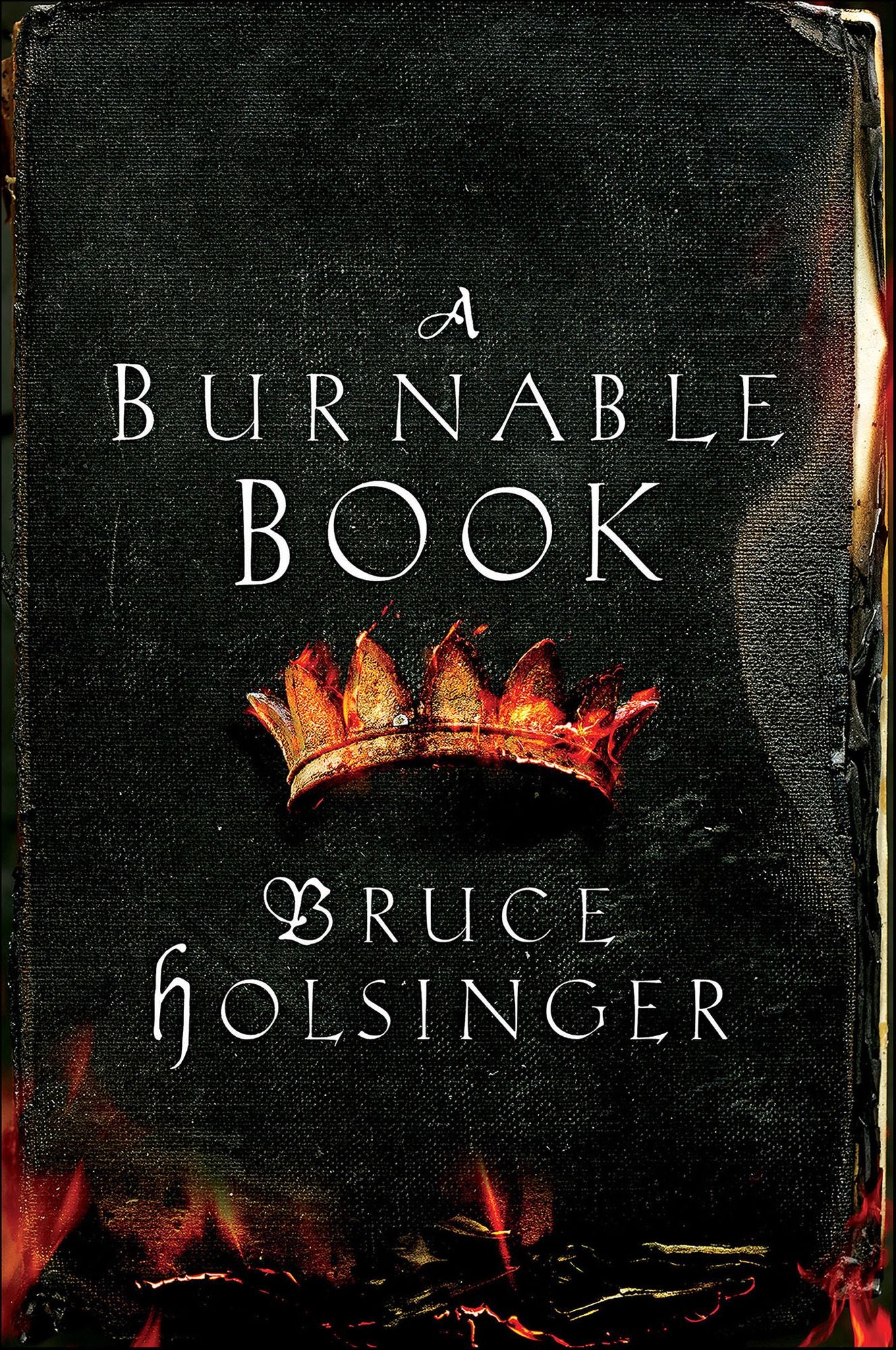A Burnable Book: A Novel