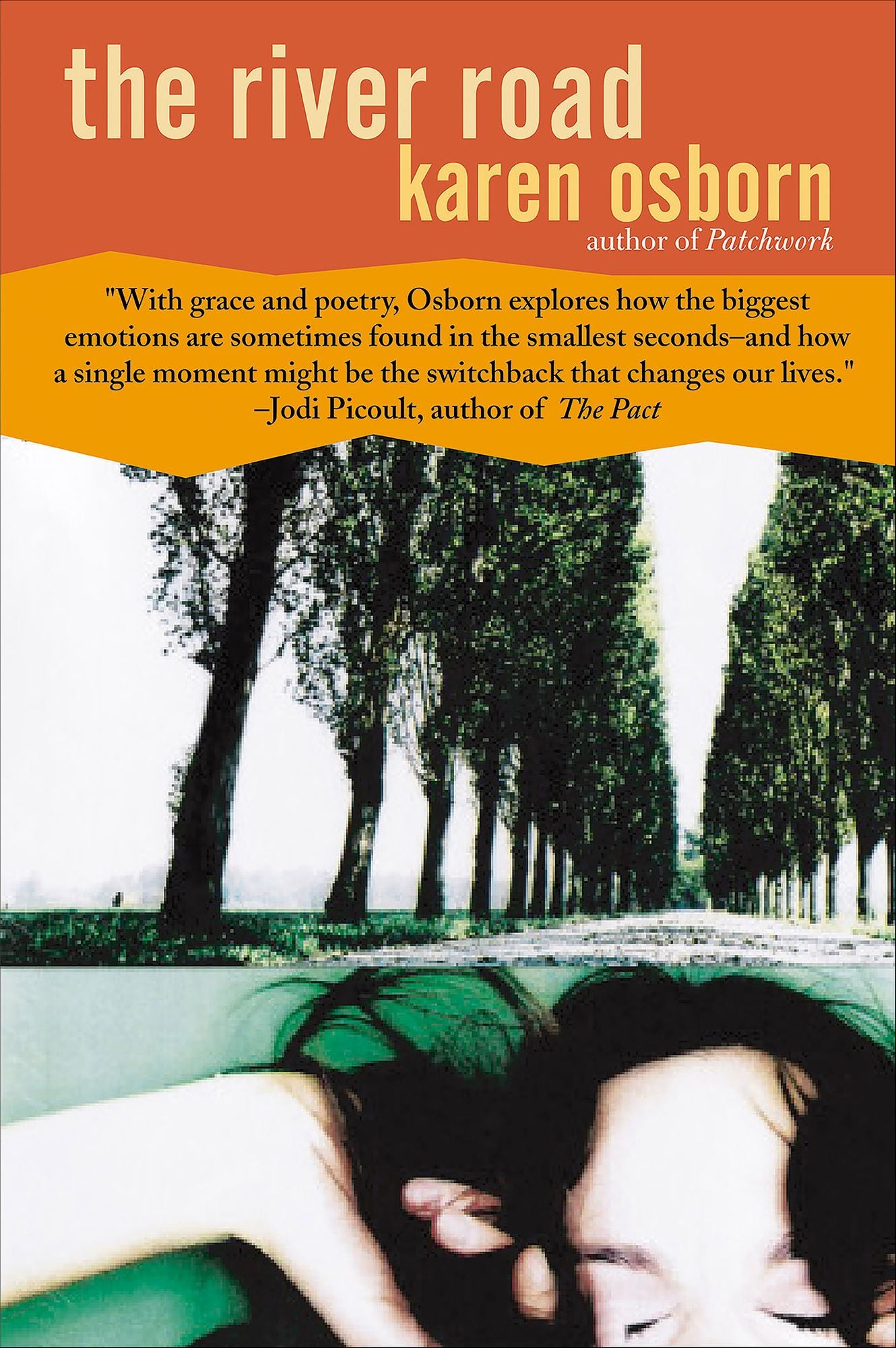 The River Road: A Novel
