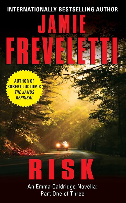 Risk: An Emma Caldridge Novella: Part One of Three