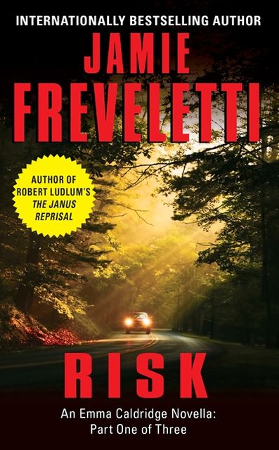 Risk: An Emma Caldridge Novella: Part One of Three