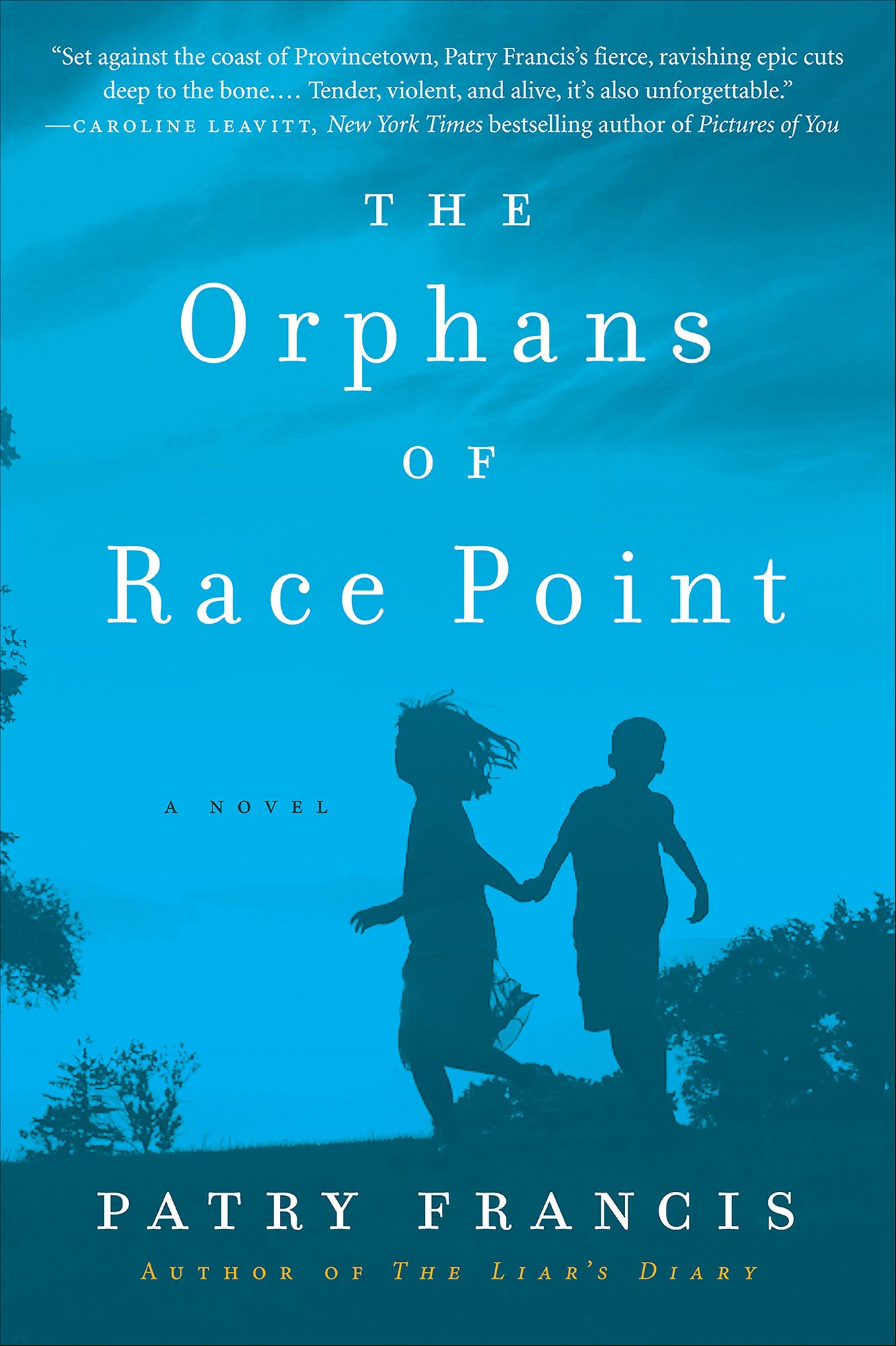 The Orphans of Race Point: A Novel